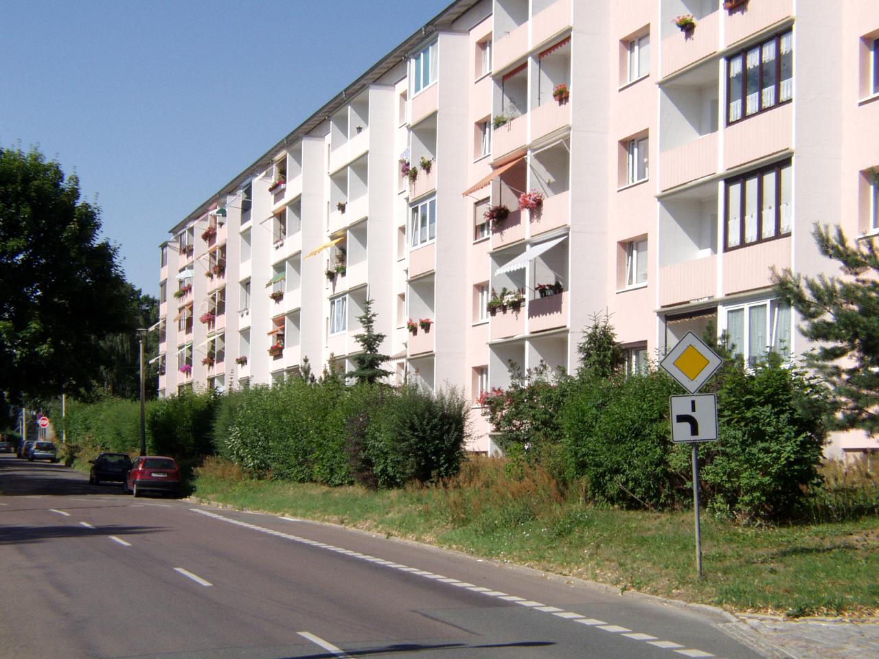2-Raum-Wohnung in Altriesa
